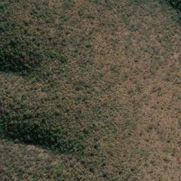 Satellite imagery of BOERBOOM, MZ