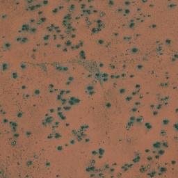 Satellite imagery of Withers Pass, AU