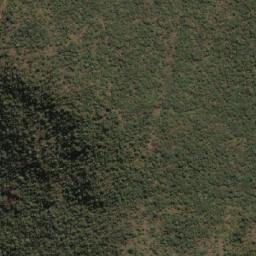 Satellite imagery of SPEKBOOM, MZ