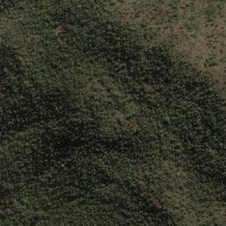 Satellite imagery of SPEKBOOM, MZ
