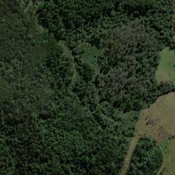 Satellite imagery of Belgerick Mine, ZA