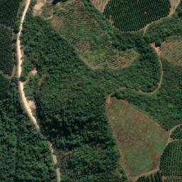 Satellite imagery of EVERT, MZ
