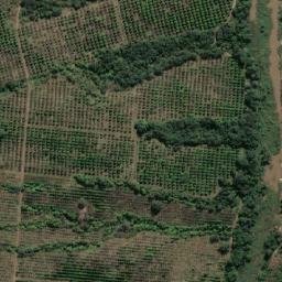 Satellite imagery of BURGERSHALL, MZ