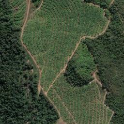 Satellite imagery of BURGERSHALL, MZ