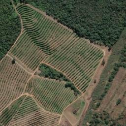 Satellite imagery of BURGERSHALL, MZ