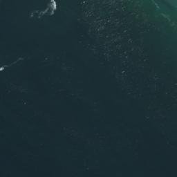 Satellite imagery of Punta Cachinalito, CL