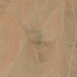 Satellite imagery of Cerro del Buitre, CL