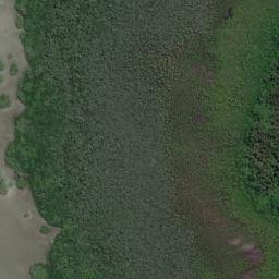 Satellite imagery of Blackfellow Point, AU