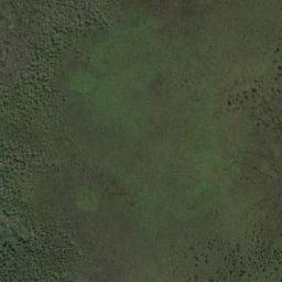 Satellite imagery of Blackfellow Point, AU