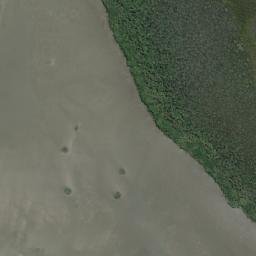 Satellite imagery of Blackfellow Point, AU