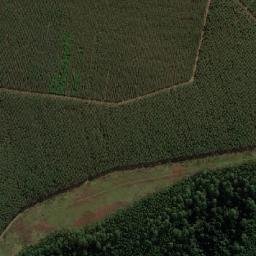 Satellite imagery of ROODEWAL, MZ