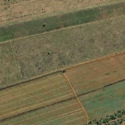 Satellite imagery of MARICO 22, BW