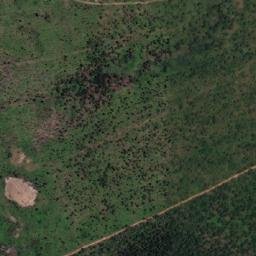 Satellite imagery of BOSCHJESKOP, MZ