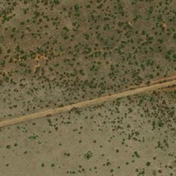 Satellite imagery of WILDEBEES, BW