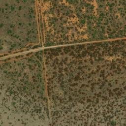 Satellite imagery of WILDEBEES, BW