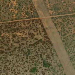 Satellite imagery of WILDEBEES, BW