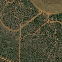 Satellite imagery of MARICO 21, BW