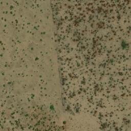 Satellite imagery of WILDEBEES, BW