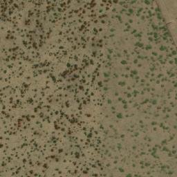 Satellite imagery of WILDEBEES, BW