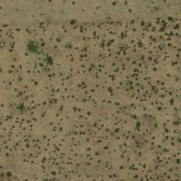 Satellite imagery of WILDEBEES, BW