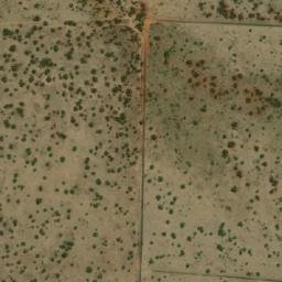Satellite imagery of WILDEBEES, BW
