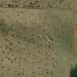 Satellite imagery of WILDEBEES, BW