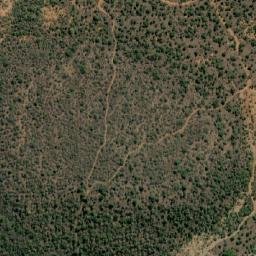 Satellite imagery of MARICO 50, BW