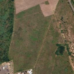 Satellite imagery of CITRUS, MZ