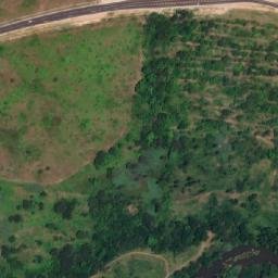 Satellite imagery of CITRUS, MZ