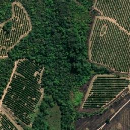 Satellite imagery of MAYFERN, MZ