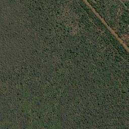 Satellite imagery of MARICO 20, BW