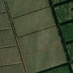Satellite imagery of ROOIGRAS, MZ