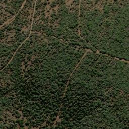 Satellite imagery of MARICO 37, BW