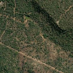 Satellite imagery of MARICO 12, BW
