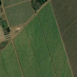 Satellite imagery of ROOIGRAS, MZ
