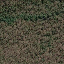 Satellite imagery of Musket Flat Mountain, AU