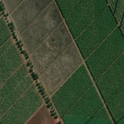 Satellite imagery of ROOIGRAS, MZ