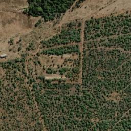 Satellite imagery of MARICO 26, BW