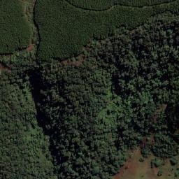 Satellite imagery of LINDENAU, MZ