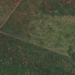 Satellite imagery of BOSCHPOORT, BW