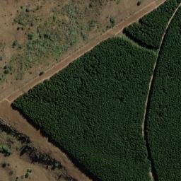 Satellite imagery of WILGEKRAAL, MZ