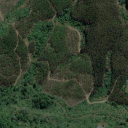 Satellite imagery of SUNNYSIDE, MZ