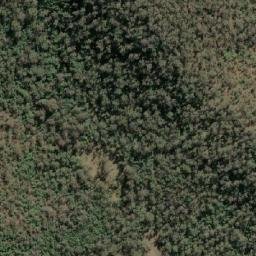 Satellite imagery of Cabbage Tree Mountain, AU