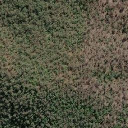 Satellite imagery of Cabbage Tree Mountain, AU