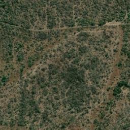 Satellite imagery of SAVANNAH, MZ