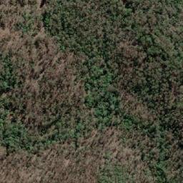 Satellite imagery of Cabbage Tree Mountain, AU