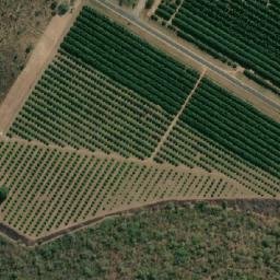 Satellite imagery of ONE TREE HILL, MZ