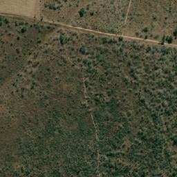 Satellite imagery of SAVANNAH, MZ
