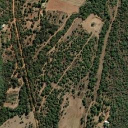 Satellite imagery of MARICO 44, BW