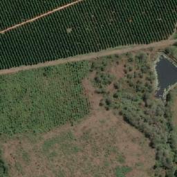 Satellite imagery of BELLEVUE, MZ